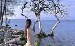 金融工作怎么干?梳理新部署